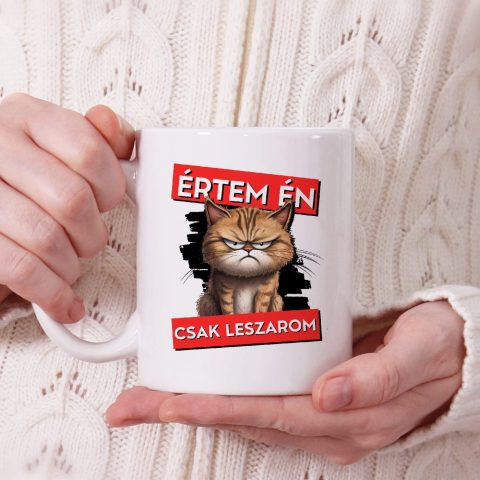 Értem én csak lesz@rom bögre