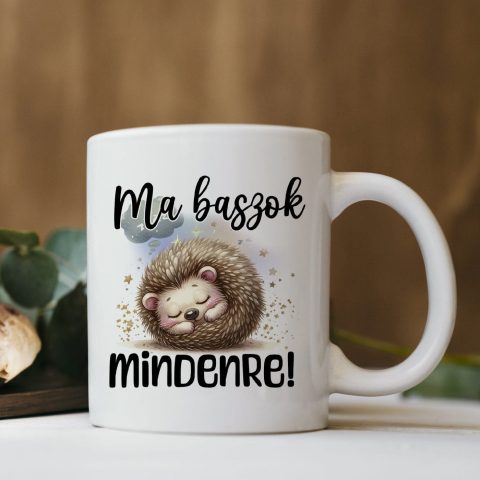 Ma b*szok mindenre bögre