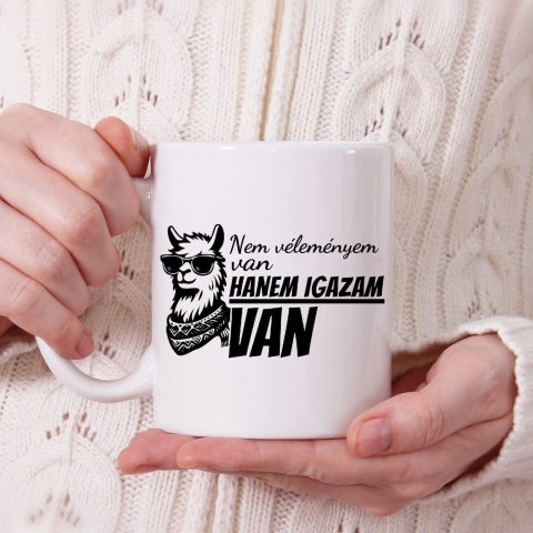Nem véleményem van hanem igazam van bögre