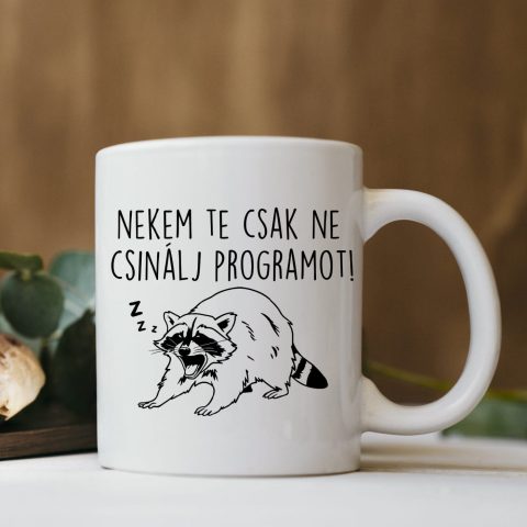 Nekem te csak ne csinálj programot bögre