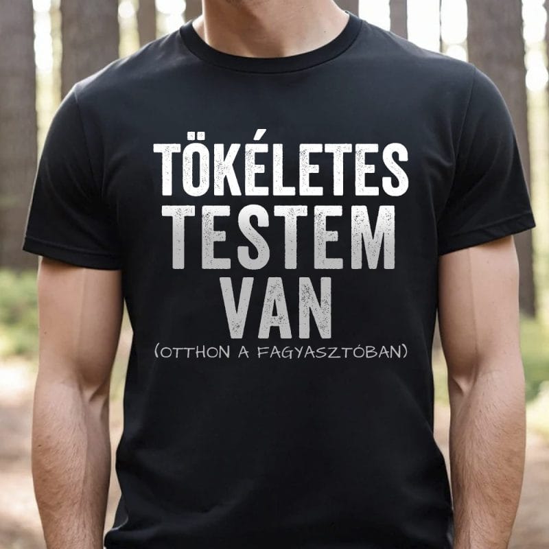 Tökéletes testem van otthon póló