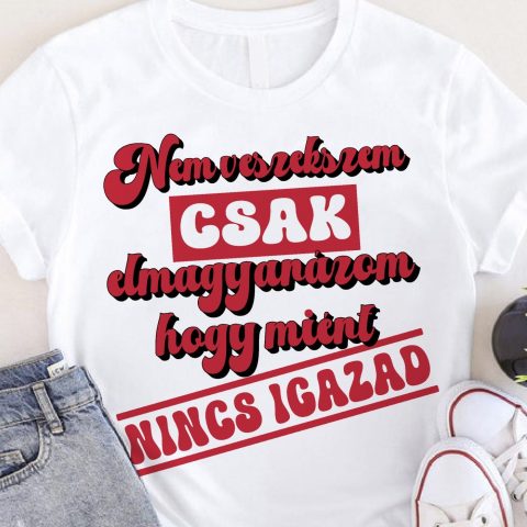 Nem veszekszem csak elmagyarázom póló 2