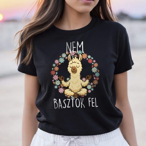 Nem basztok fel lámás póló