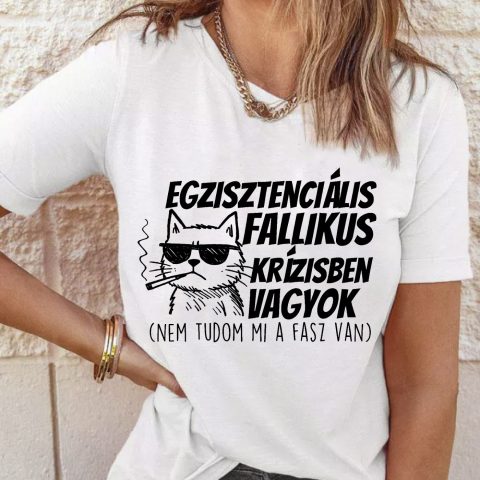 Egzisztenciális fallikus krízisben vagyok cicás póló