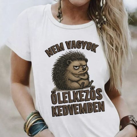 Nem vagyok ölelkezős kedvemben sünis póló