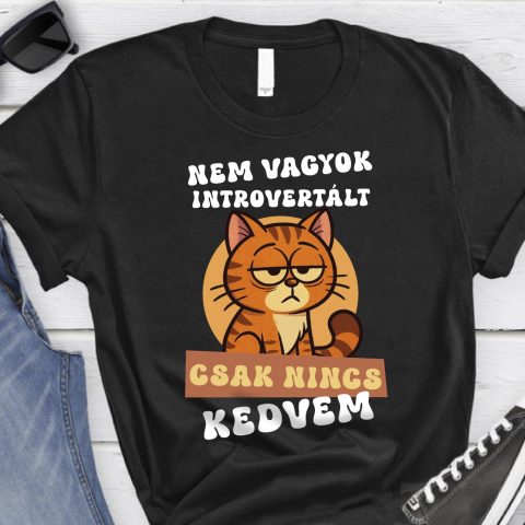 Nem vagyok introvertált cicás póló