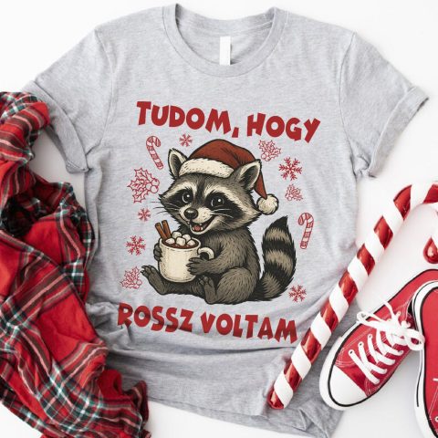 Tudom, hogy rossz voltam mosómedvés póló vagy pulcsi