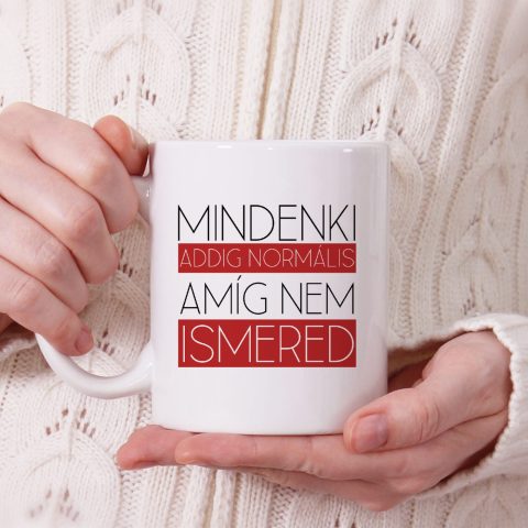 Mindenki addig normális amíg nem ismered bögre