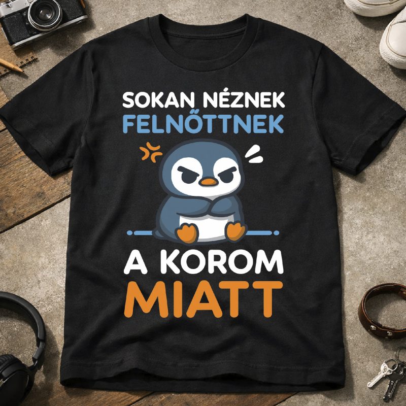 Sokan néznek felnőttnek póló vagy pulcsi