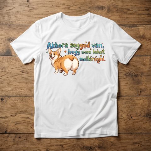 Akkora segged van, hogy nem lehet mellérúgni póló, corgival