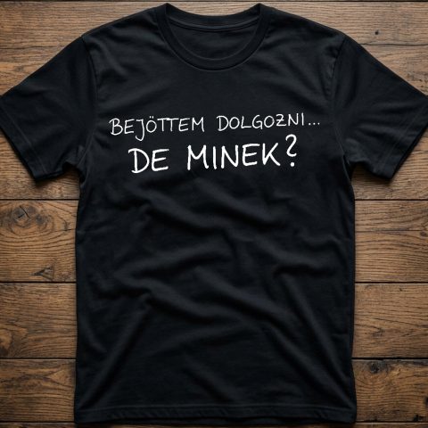 Bejöttem dolgozni, de minek? póló