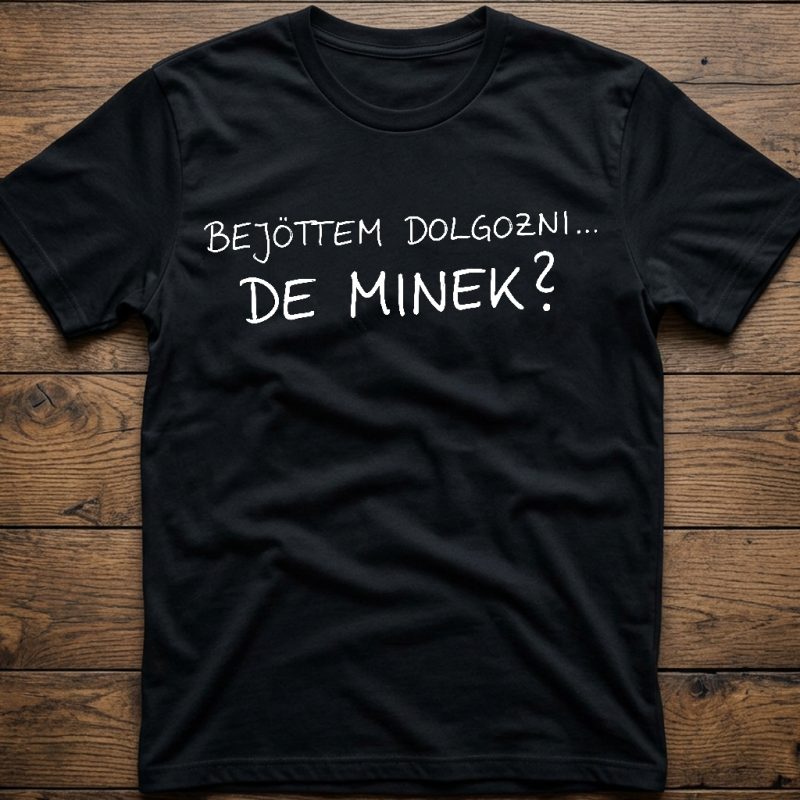 Bejöttem dolgozni, de minek? póló