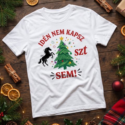 Idén nem kapsz lóf*szt sem karácsonyi póló