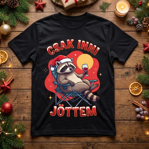 Csak inni jöttem karácsonyi mosómedvés póló